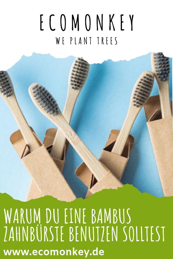 warum du eine bambus zahnbürste benutzen solltest - ECOMONKEY