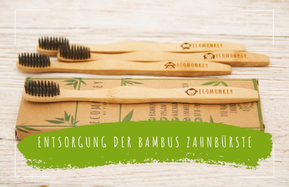 Entsorgung der Bambus Zahnbrste - ECOMONKEY