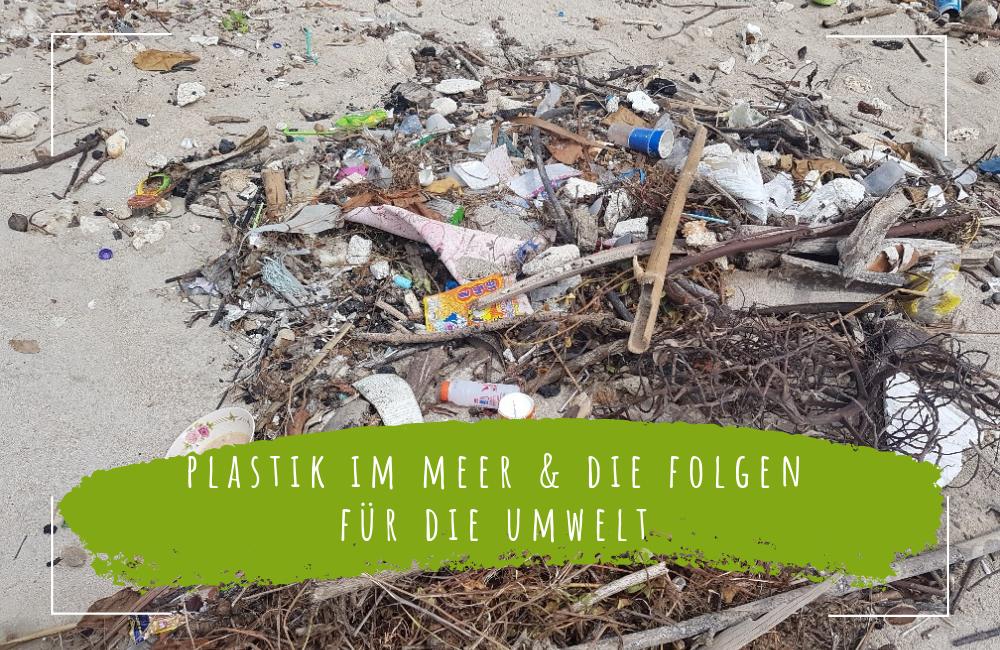 Plastik-im-Meer-und-die-Folgen-für-die-Umwelt