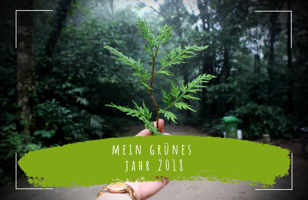 mein-grünes-jahr-2018