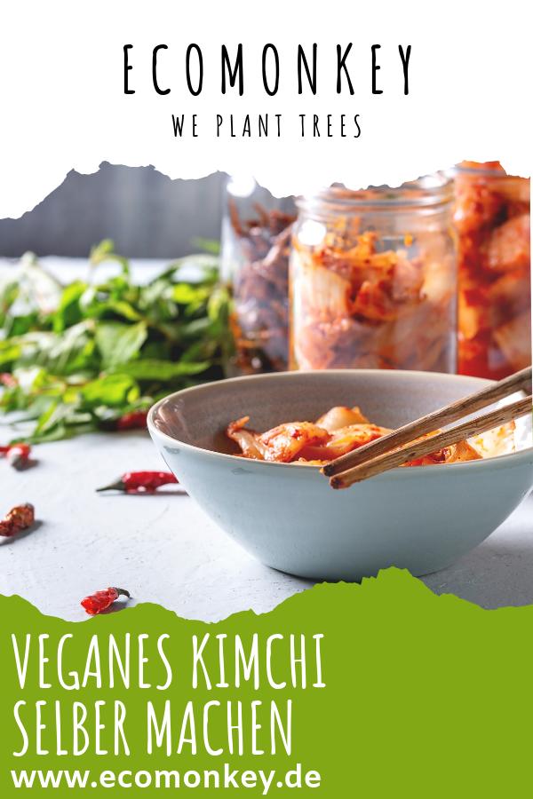 kimchi selber machen vegan