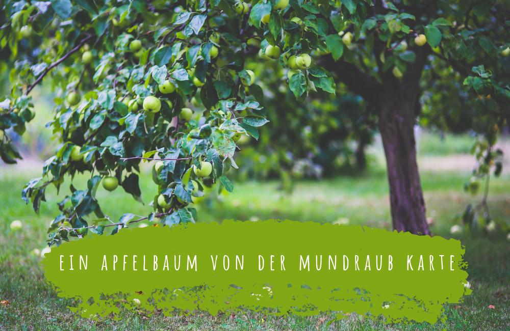 mundraub apfelbaum karte