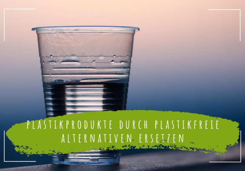 5-Tipps-im-Alltag-Plastikprodukte-durch-plastikfreie-Alternativen-ersetzen-infografik