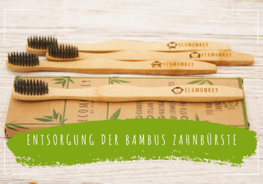 Entsorgung-einer-Bambus-Zahnbürste-ecomonkey