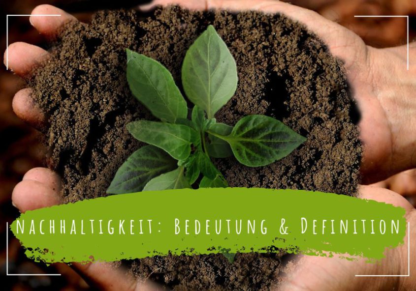 Nachhaltigkeit-im-Alltag-Bedeutung-Definition-Erklärung-und-Beispiele