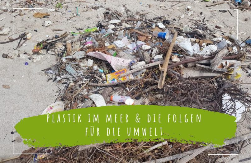 Warum Ist Plastik Schädlich Für Die Umwelt www.ecomonkey.de