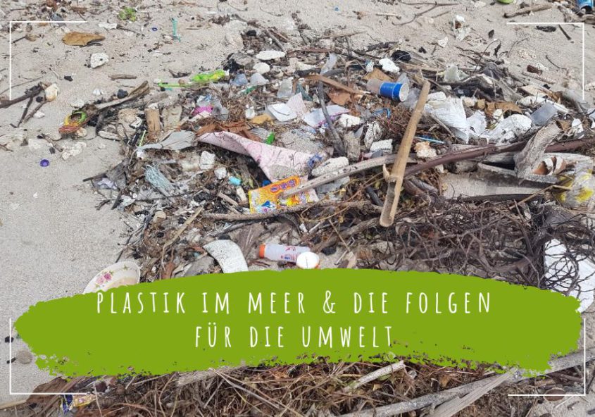 Plastik-im-Meer-und-die-Folgen-für-die-Umwelt