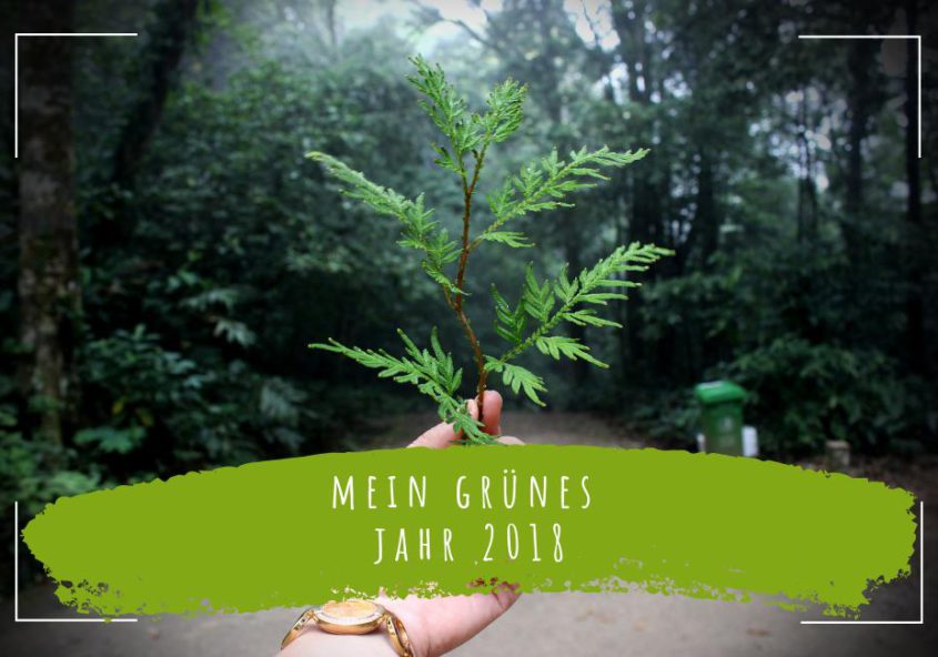 mein-grünes-jahr-2018