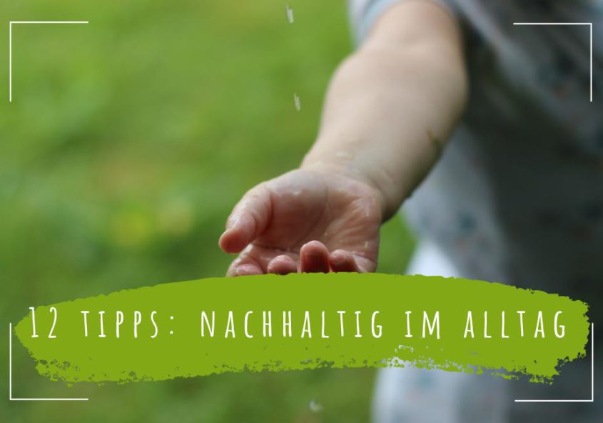 nachhaltig-leben-und-handeln-im-alltag-min