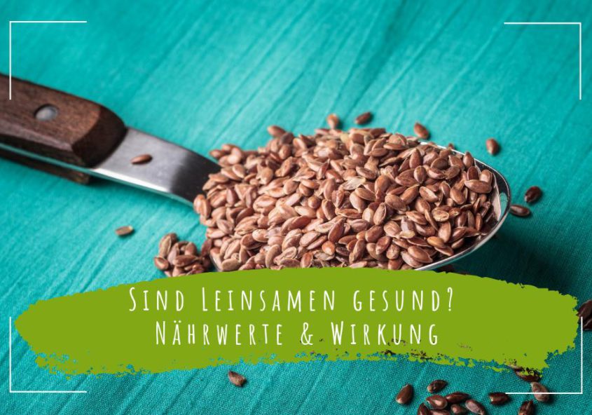 Sind Leinsamen gesund_ Nährwerte & Wirkung