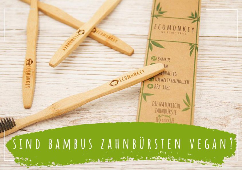 sind bambus zahnbürsten vegan artikelbild