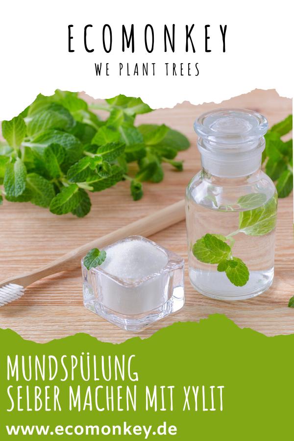 antibakterielle mundspülung einfach selber machen mit xylit