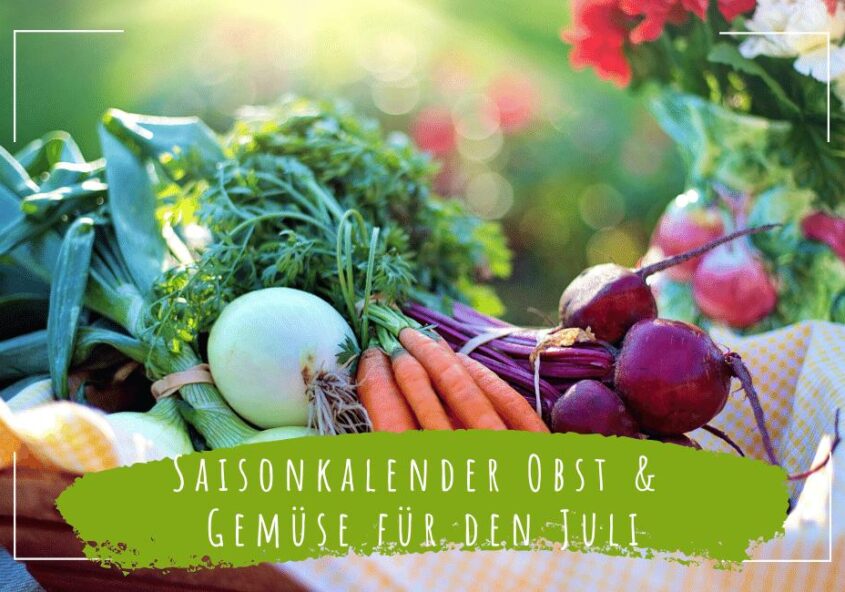 saisonkalender obst und gemüse juli