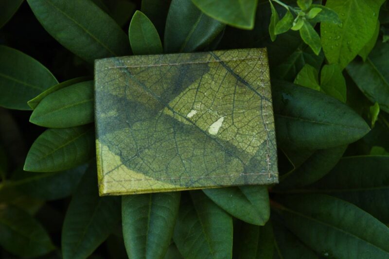 geldbörse mit münzfach aus blättern grün