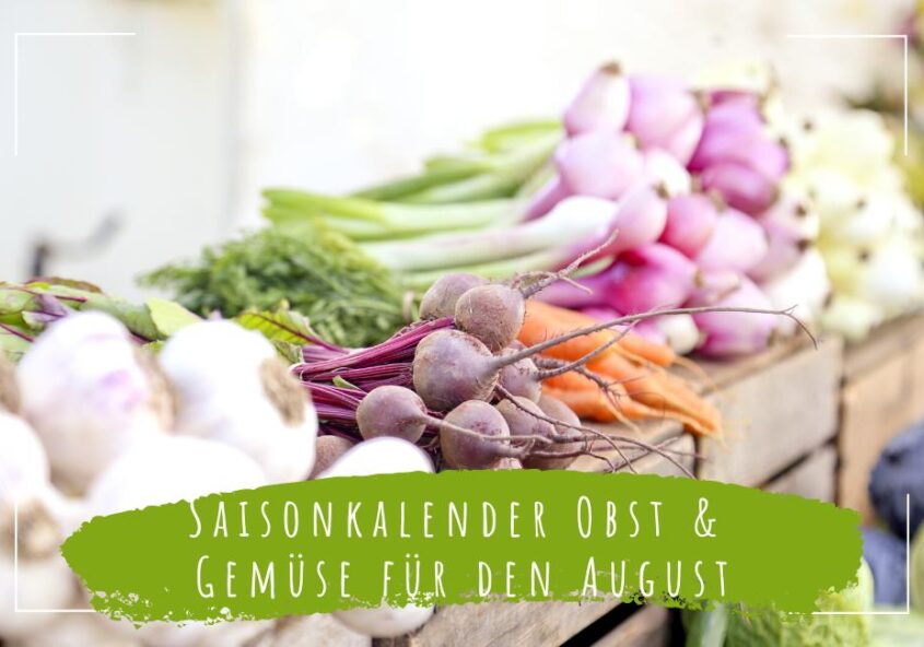 saisonkalender obst und gemüse august