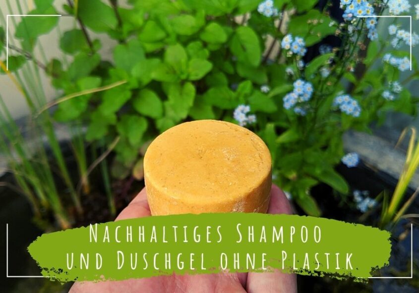 Nachhaltiges Shampoo und Duschgel ohne Plastik