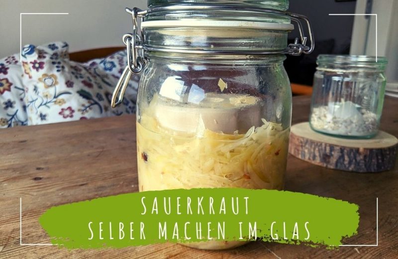 Sauerkraut selber machen im Glas | ECOMONKEY
