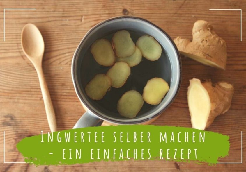 Ingwertee selber machen ein einfaches rezept für daheim
