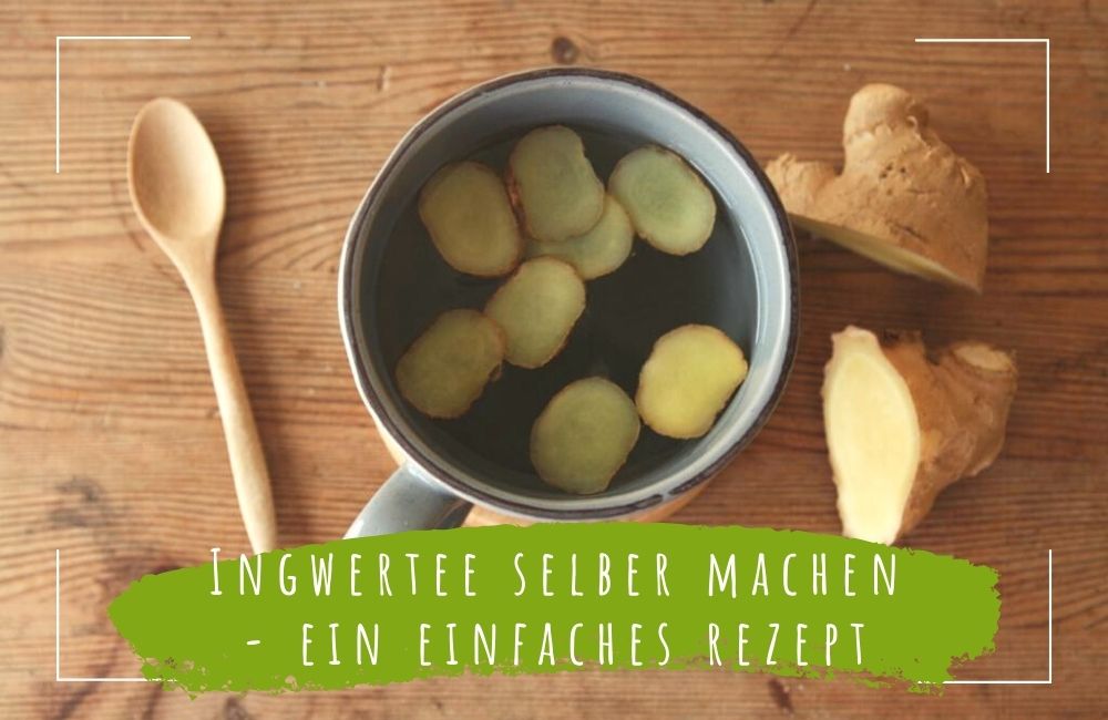 Ingwertee selber machen ein einfaches rezept für daheim