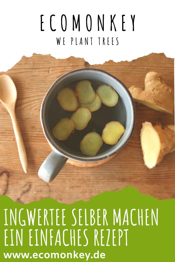 Ingwertee selber machen rezept pinterest