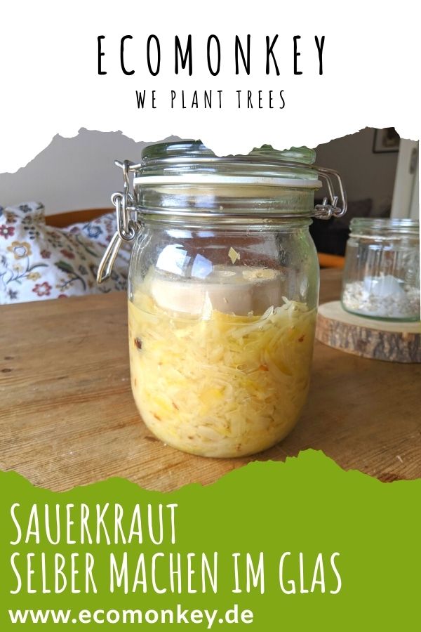 Sauerkraut selber machen im Glas Pinterest